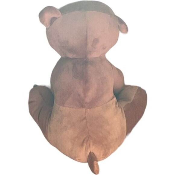 Kohls Cares Plush Baby Bear Baby Bear What Do You See Book By Eric Carle - Picture 7 of 12